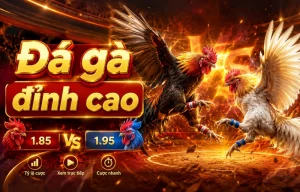 Đá Gà upensx